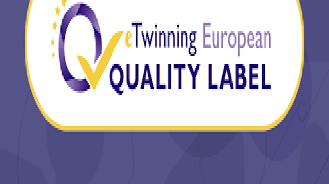 Okulumuzda Yürütülen 5 Proje Avrupa Kalite Etiketi Almıştır.